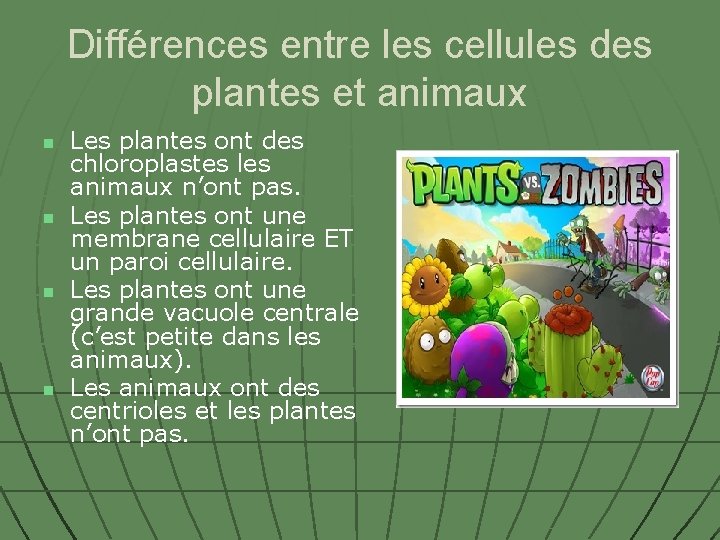 Différences entre les cellules des plantes et animaux n n Les plantes ont des