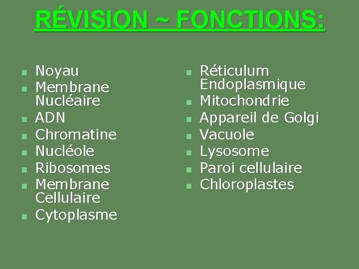 RÉVISION ~ FONCTIONS: n n n n Noyau Membrane Nucléaire ADN Chromatine Nucléole Ribosomes