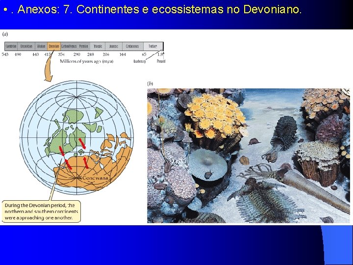  • . Anexos: 7. Continentes e ecossistemas no Devoniano. 