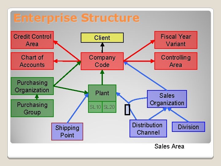 Enterprise Structure Credit Control Area Client Fiscal Year Variant Chart of Accounts Company Code