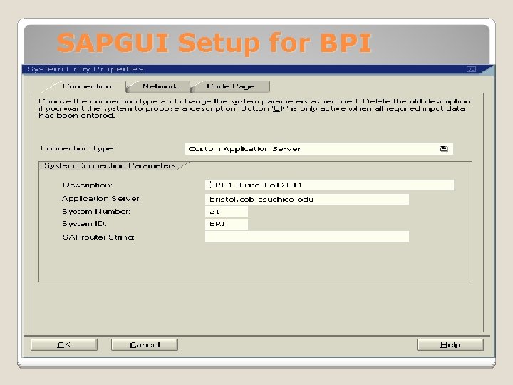SAPGUI Setup for BPI 