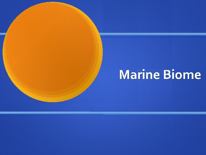 Marine Biome 