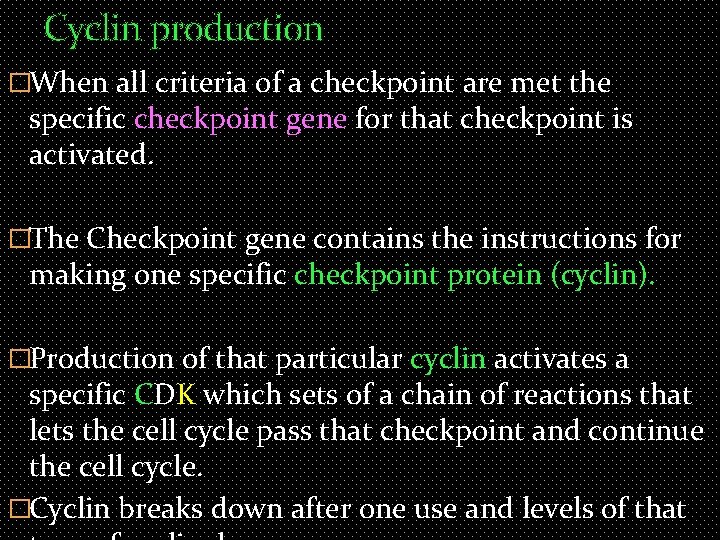 Cyclin production �When all criteria of a checkpoint are met the specific checkpoint gene