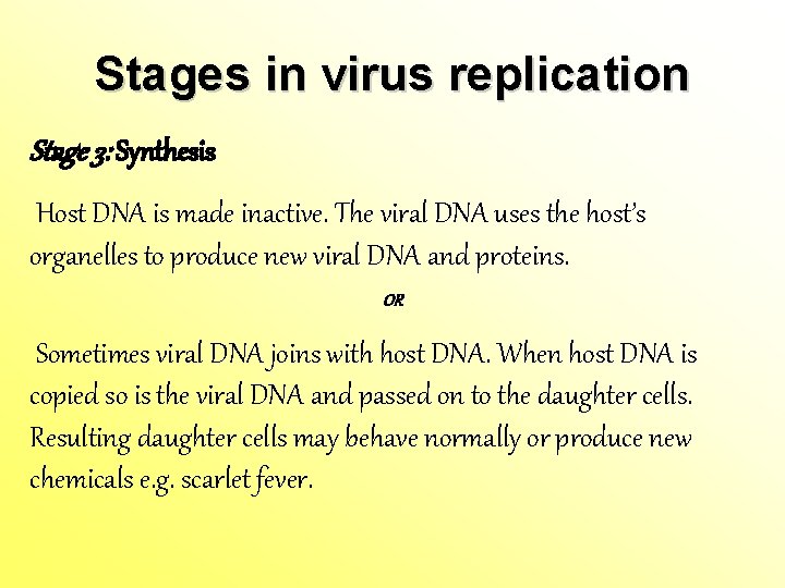 Stages in virus replication Stage 3: Synthesis Host DNA is made inactive. The viral