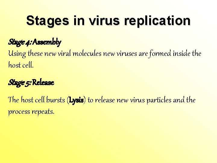 Stages in virus replication Stage 4: Assembly Using these new viral molecules new viruses Stages in virus replication Stage 4: Assembly Using these new viral molecules new viruses