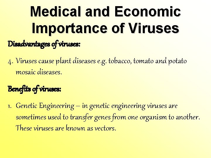 Medical and Economic Importance of Viruses Disadvantages of viruses: 4. Viruses cause plant diseases Medical and Economic Importance of Viruses Disadvantages of viruses: 4. Viruses cause plant diseases