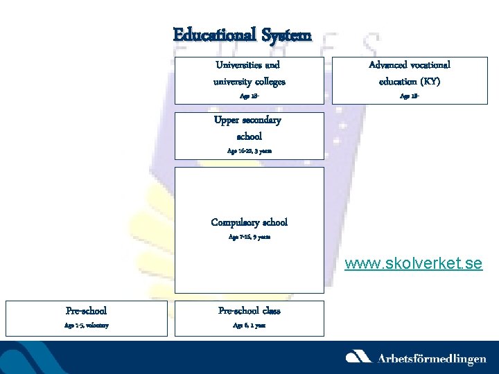 Educational System Universities and university colleges Age 18 - Advanced vocational education (KY) Age