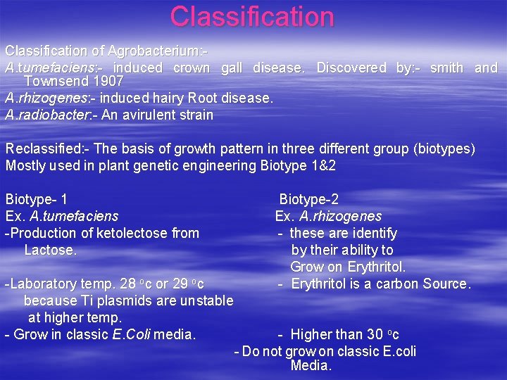 SEMINAR AGROBACTERIUM NATURAL GENETIC ENGINEER TDNA TRANSFER GENE