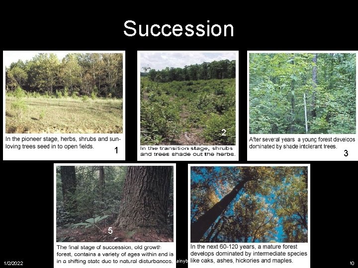 Succession 2 1 3 5 1/2/2022 copyright 2006 Free template from brainybetty. com ALL