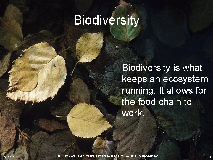 Biodiversity is what keeps an ecosystem running. It allows for the food chain to
