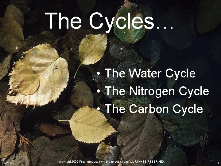 The Cycles… • The Water Cycle • The Nitrogen Cycle • The Carbon Cycle