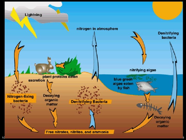 1/2/2022 copyright 2006 Free template from brainybetty. com ALL RIGHTS RESERVED. 8 