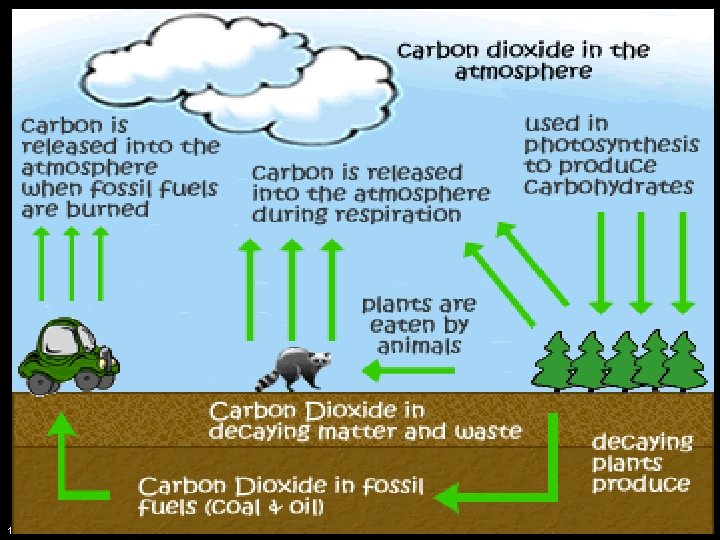1/2/2022 copyright 2006 Free template from brainybetty. com ALL RIGHTS RESERVED. 9 