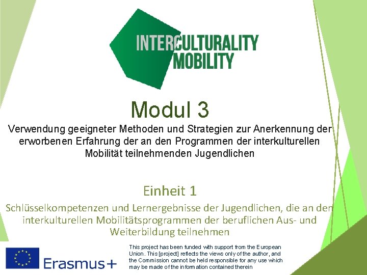 Modul 3 Verwendung geeigneter Methoden und Strategien zur Anerkennung der erworbenen Erfahrung der an