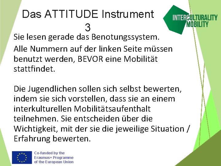 Das ATTITUDE Instrument 3 Sie lesen gerade das Benotungssystem. Alle Nummern auf der linken