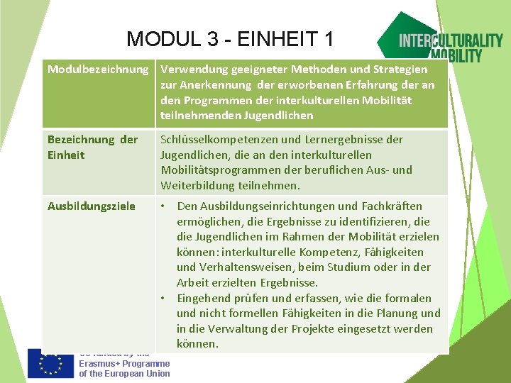 MODUL 3 - EINHEIT 1 Modulbezeichnung Verwendung geeigneter Methoden und Strategien zur Anerkennung der