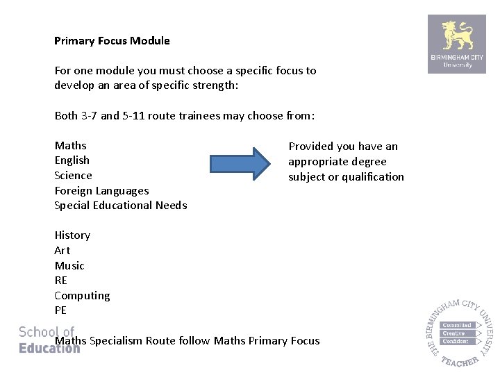 Primary Focus Module For one module you must choose a specific focus to develop