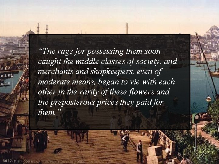 “The rage for possessing them soon caught the middle classes of society, and merchants