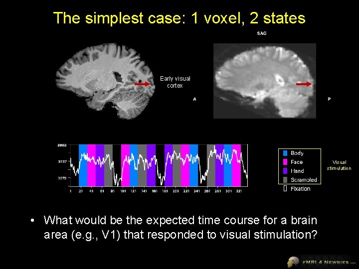 Visual Cortex Simulation Jody Culham Brain and Mind Institute Department of