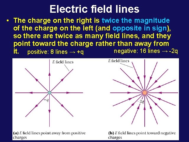 Electric field lines • The charge on the right is twice the magnitude of