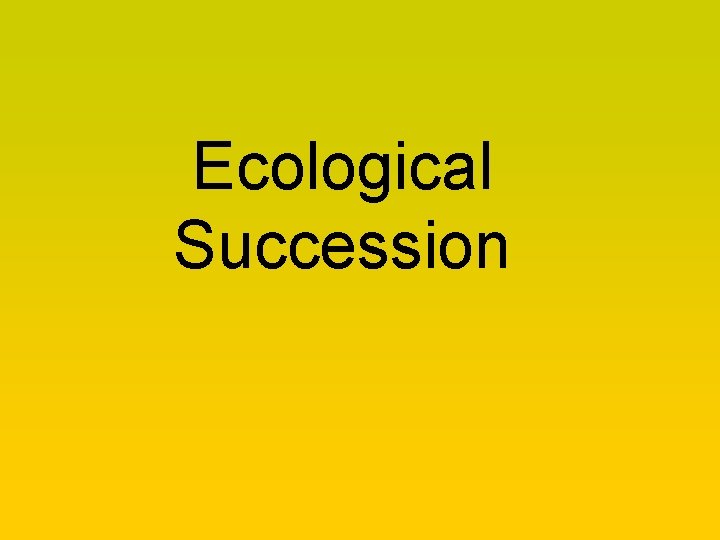 Ecological Succession 