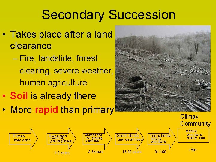 Secondary Succession • Takes place after a land clearance – Fire, landslide, forest clearing,