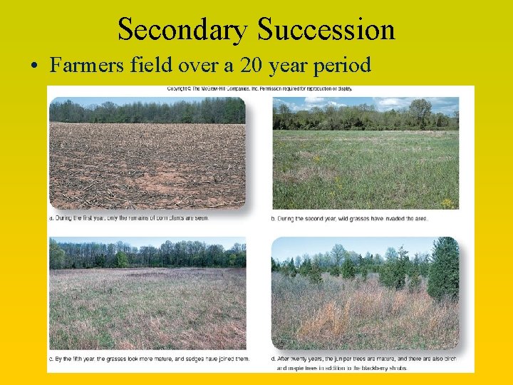 Secondary Succession • Farmers field over a 20 year period 