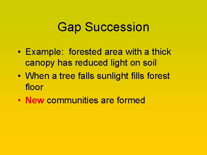 Gap Succession • Example: forested area with a thick canopy has reduced light on