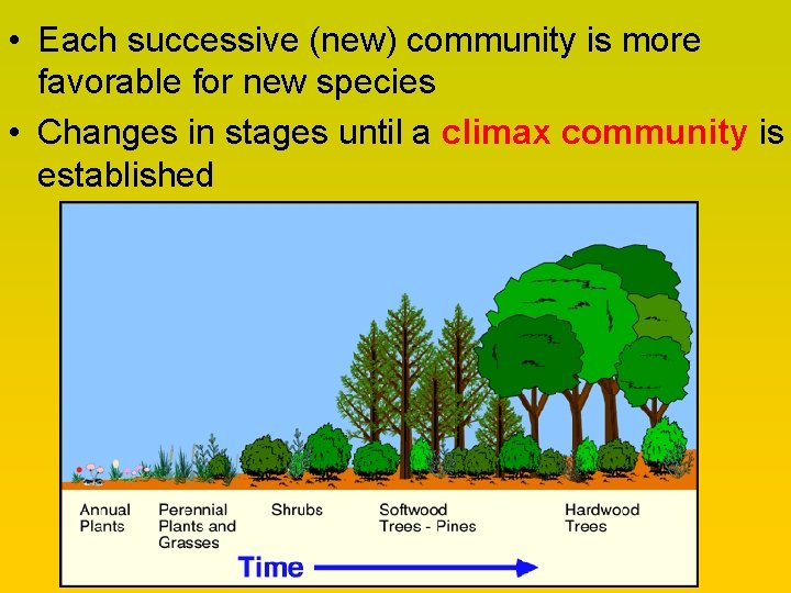  • Each successive (new) community is more favorable for new species • Changes