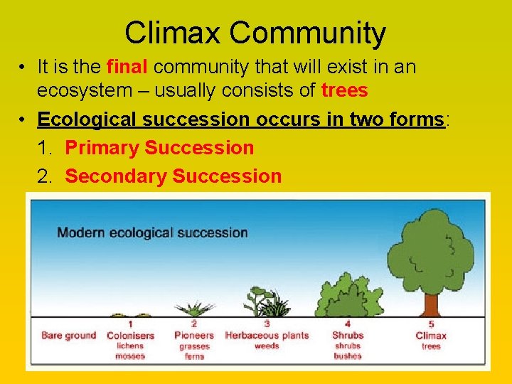 Climax Community • It is the final community that will exist in an ecosystem