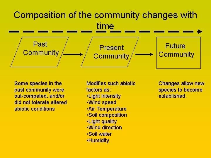 Composition of the community changes with time Past Community Some species in the past