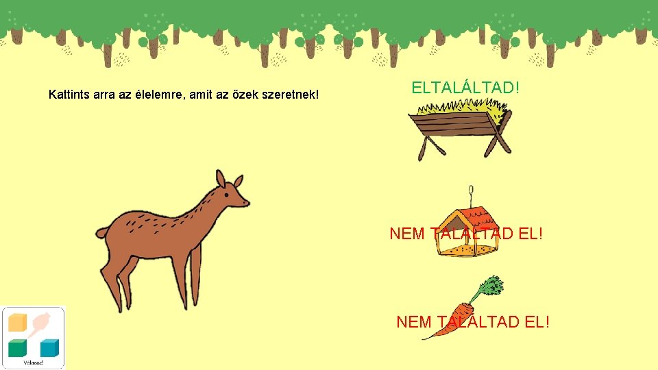 Kattints arra az élelemre, amit az őzek szeretnek! ELTALÁLTAD! NEM TALÁLTAD EL! 