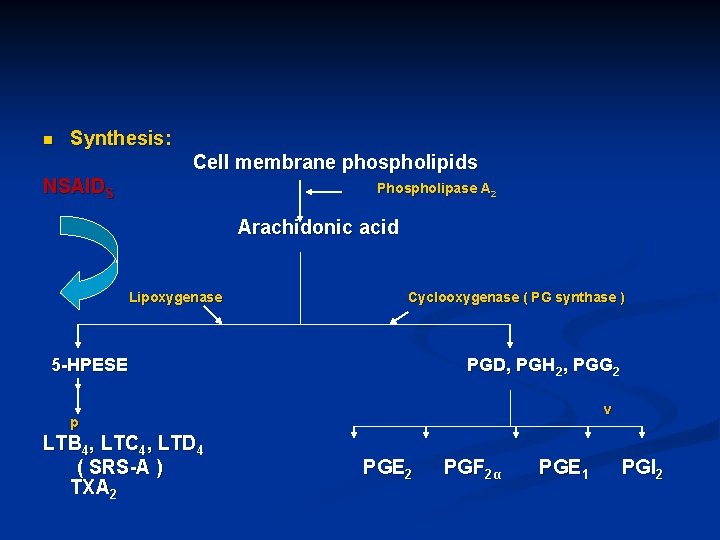 n Synthesis: Cell membrane phospholipids NSAIDS Phospholipase A 2 Arachidonic acid Lipoxygenase Cyclooxygenase (