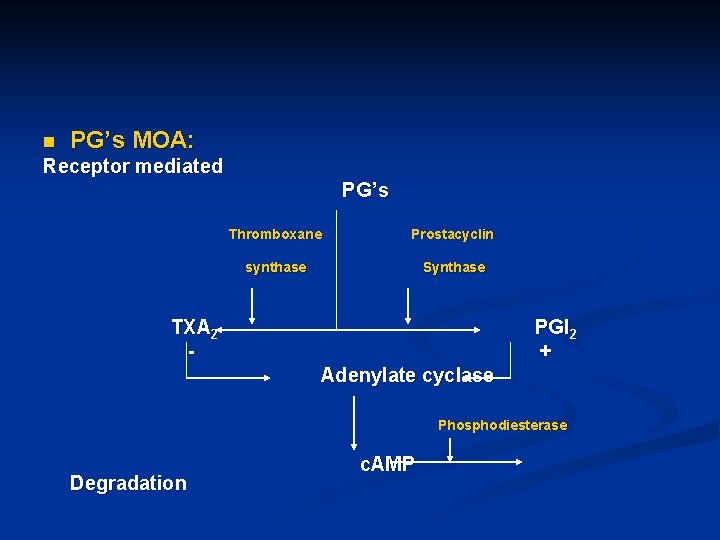 n PG’s MOA: Receptor mediated PG ’s Thromboxane Prostacyclin synthase Synthase TXA 2 -