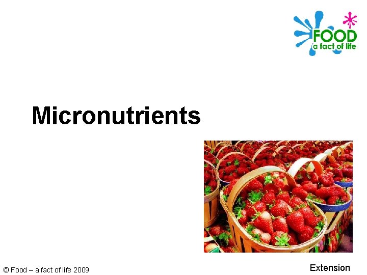 Micronutrients © Food – a fact of life 2009 Extension 