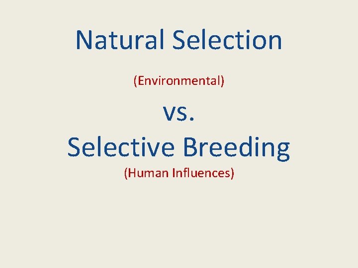 Natural Selection (Environmental) vs. Selective Breeding (Human Influences) 