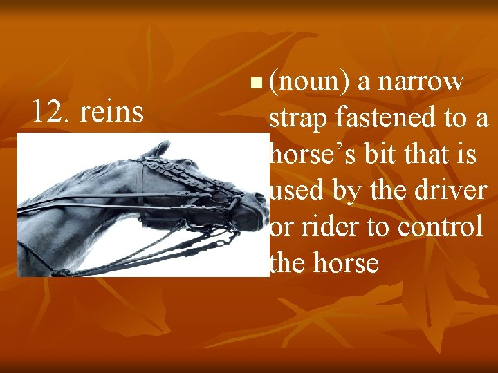 12. reins n (noun) a narrow strap fastened to a horse’s bit that is