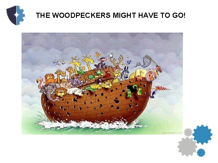 THE WOODPECKERS MIGHT HAVE TO GO! 