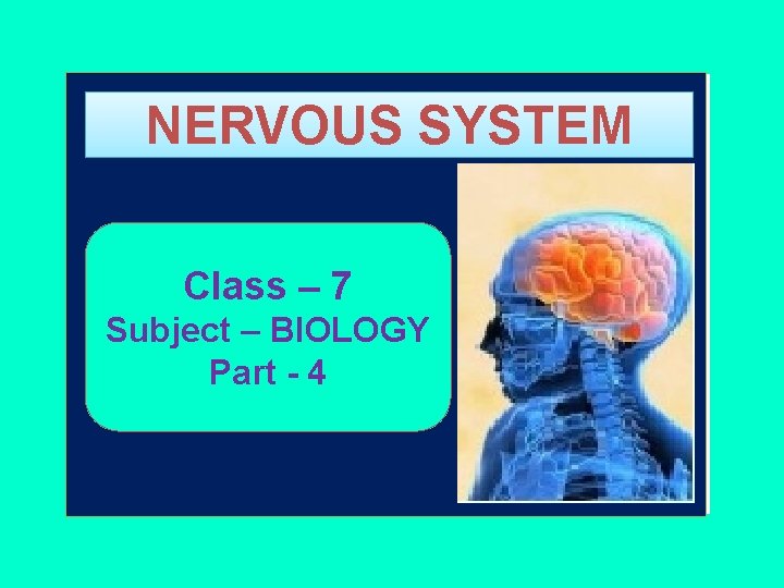 NERVOUS SYSTEM Class – 7 Subject – BIOLOGY Part - 4 