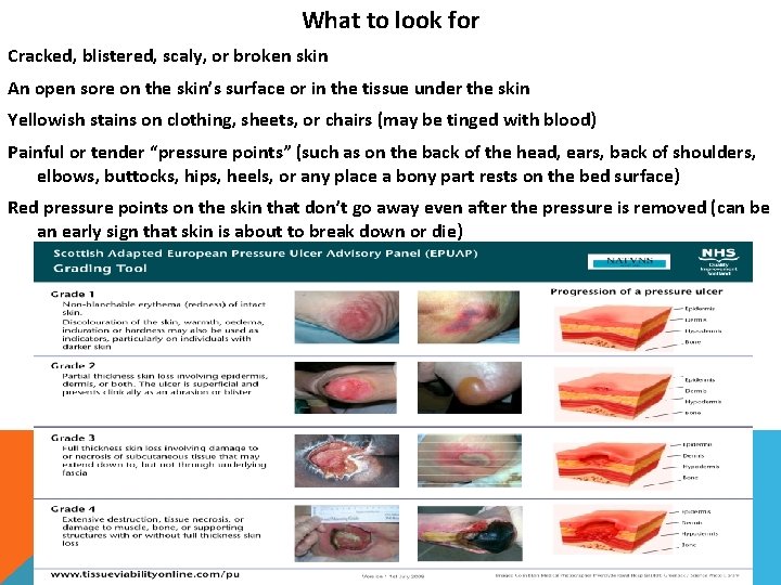 What to look for Cracked, blistered, scaly, or broken skin An open sore on