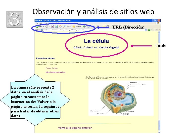 Observación y análisis de sitios web URL (Dirección) Título La página sólo presenta 2