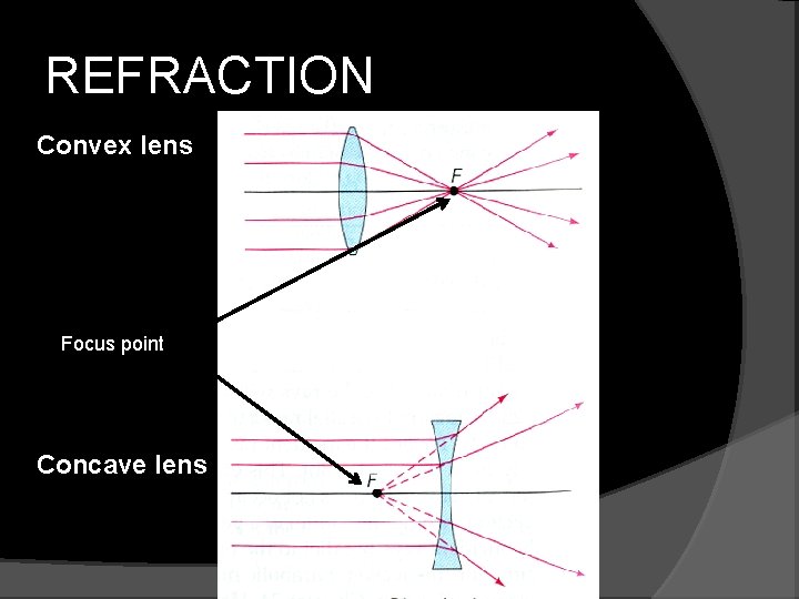 REFRACTION Convex lens Focus point Concave lens 