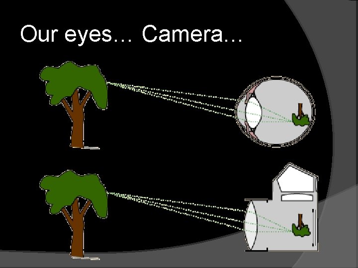 Our eyes… Camera… 