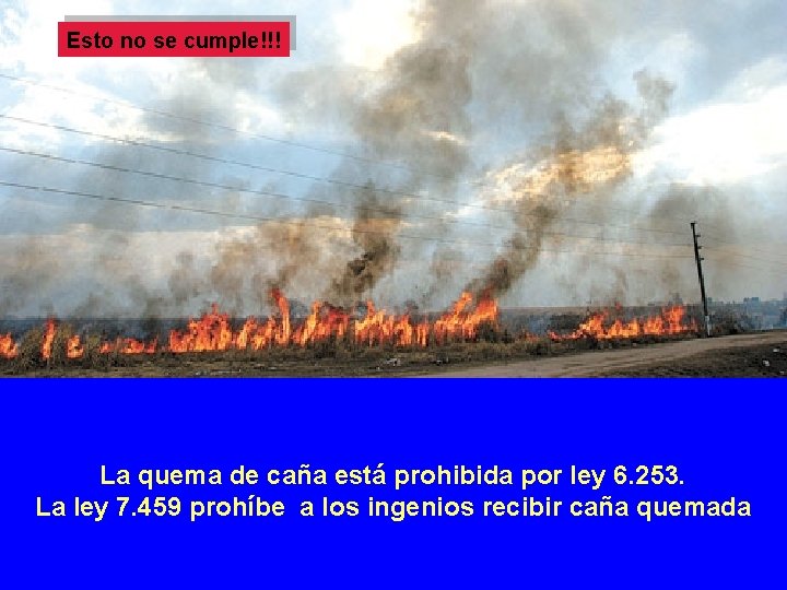 Esto no se cumple!!! La quema de caña está prohibida por ley 6. 253.