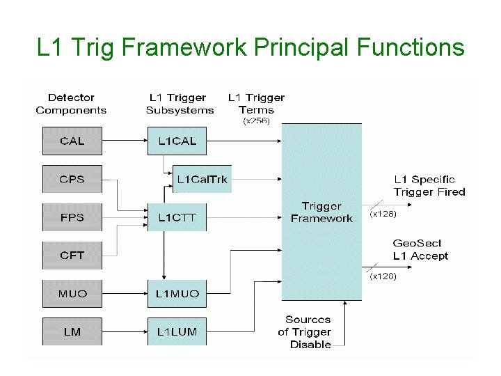 L 1 Trig Framework Principal Functions 