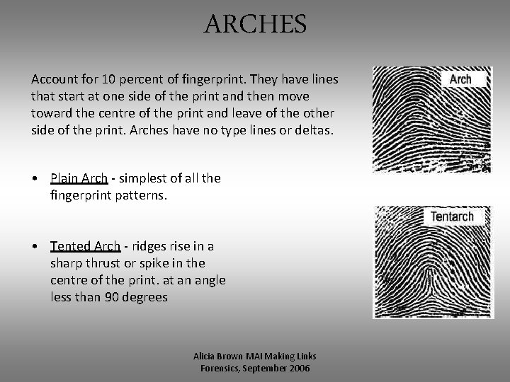 ARCHES Account for 10 percent of fingerprint. They have lines that start at one