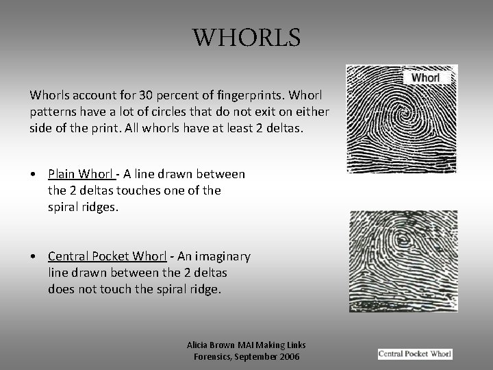 WHORLS Whorls account for 30 percent of fingerprints. Whorl patterns have a lot of