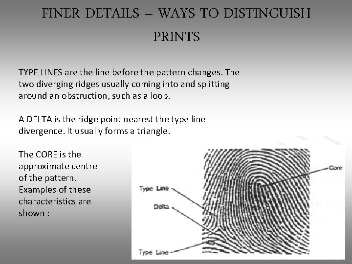 FINER DETAILS – WAYS TO DISTINGUISH PRINTS TYPE LINES are the line before the