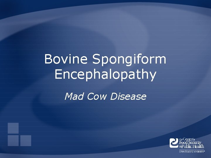 Bovine Spongiform Encephalopathy Mad Cow Disease 