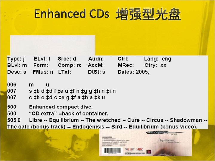 Enhanced CDs 增强型光盘 